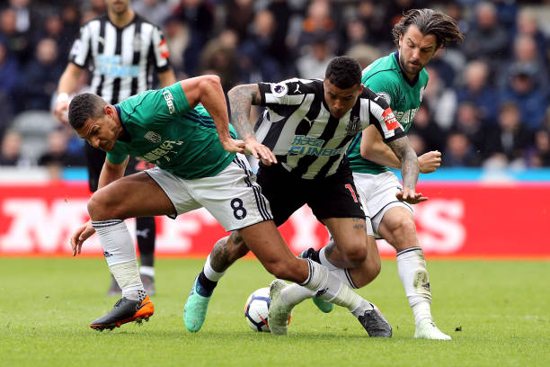 疑是中流砥 疑是中流砥