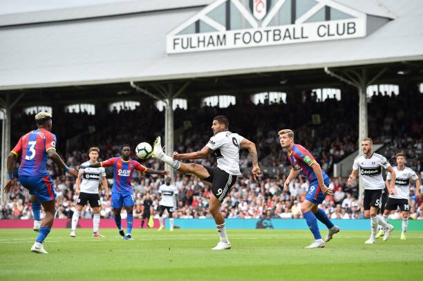 竞技水平 竞技水平