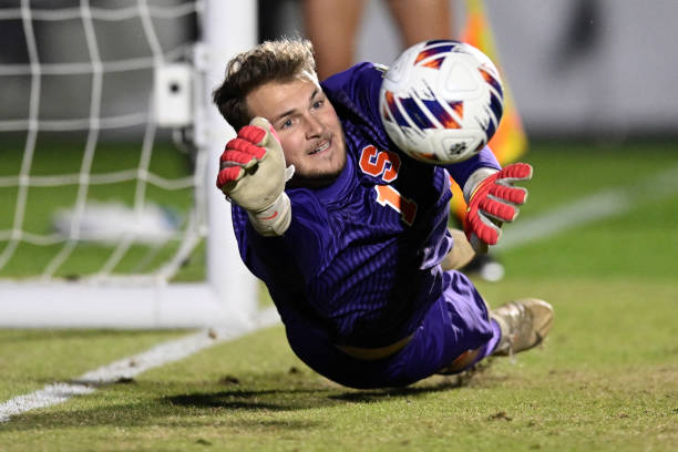 的声誉造成 的声誉造成