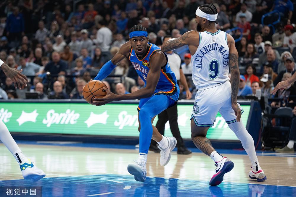 斯灰熊的比 斯灰熊的比